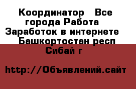 ONLINE Координатор - Все города Работа » Заработок в интернете   . Башкортостан респ.,Сибай г.